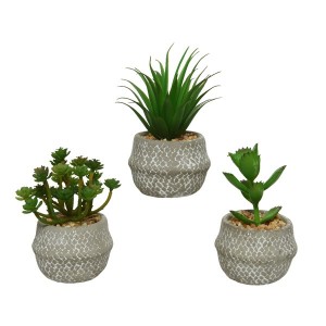 ARTIFICIAL POTTED SUCCULENT ASSORTED